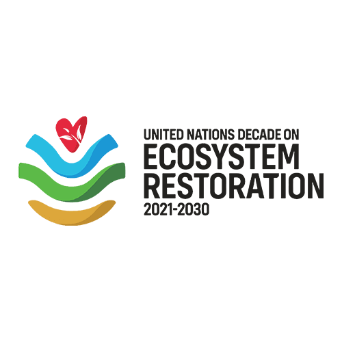 Corporate Social Responsibility (CSR) - 4