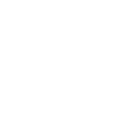 Environmental Responsibility (E) - Corporate Social Responsibility