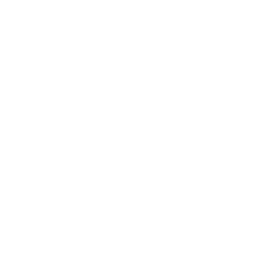 Governance Excellence (G) - Corporate Social Responsibility