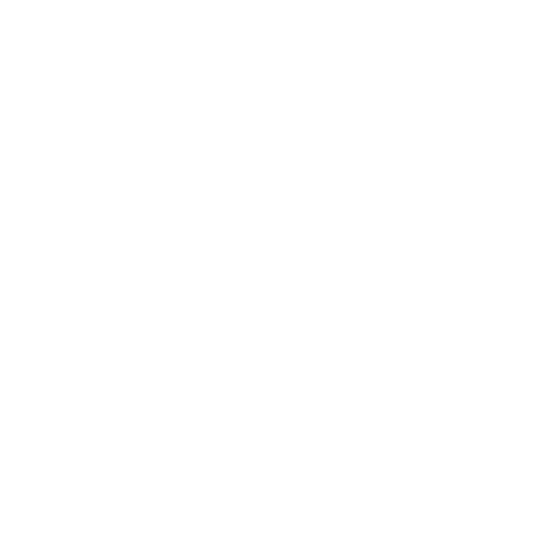 Social Engagement (S) - Corporate Social Responsibility